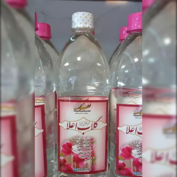 گلاب اعلا ثامن